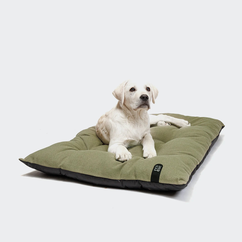 RESC7UE Hundekissen