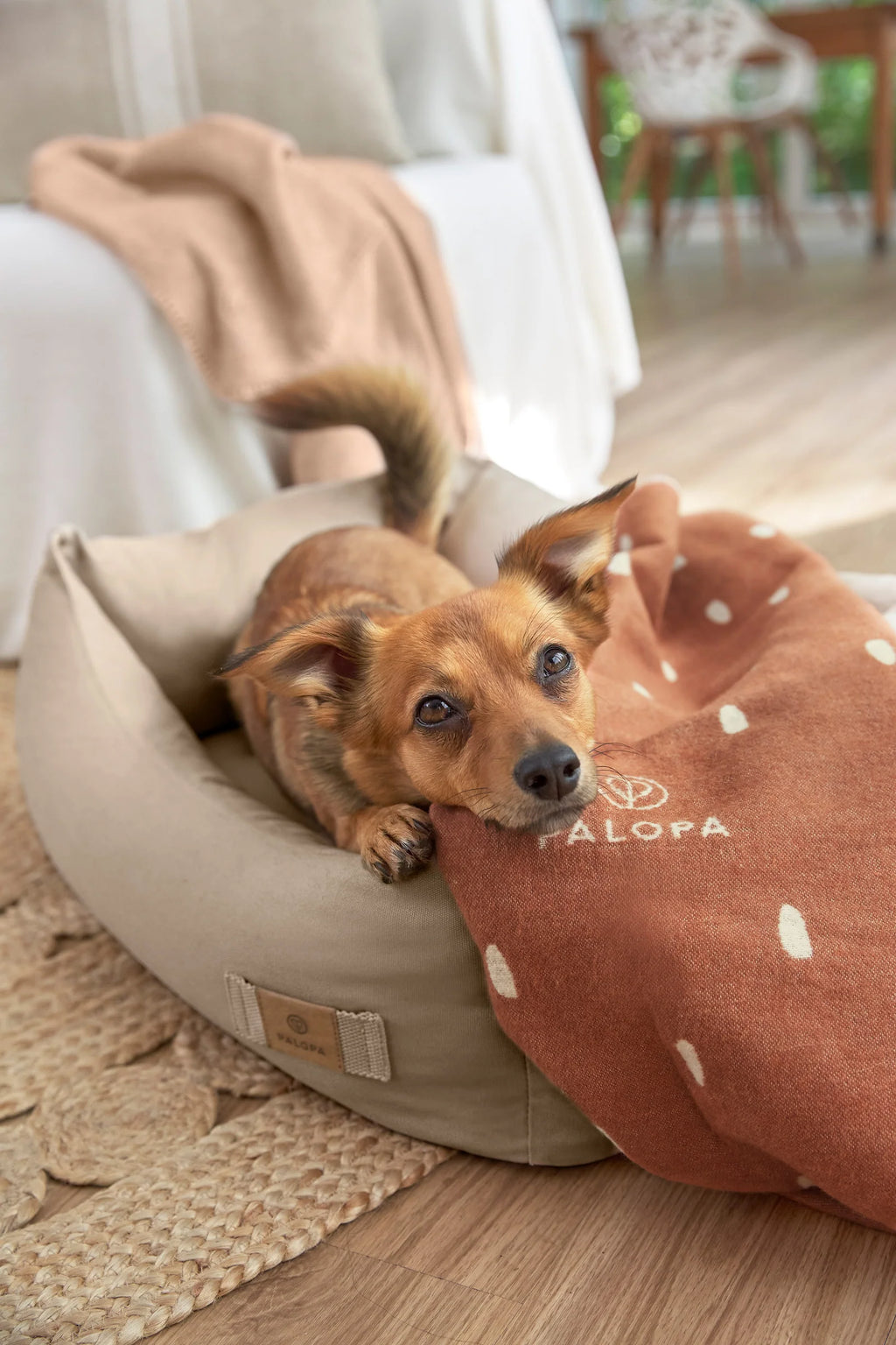 Palopa Hundedecke Ida M