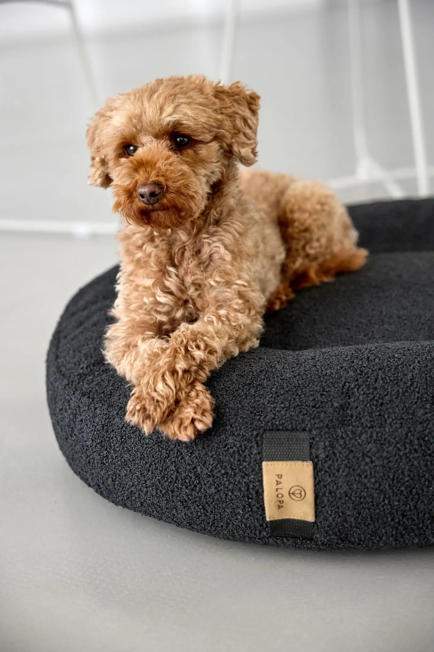 Palopa Dog Bed Round Donut Fippa