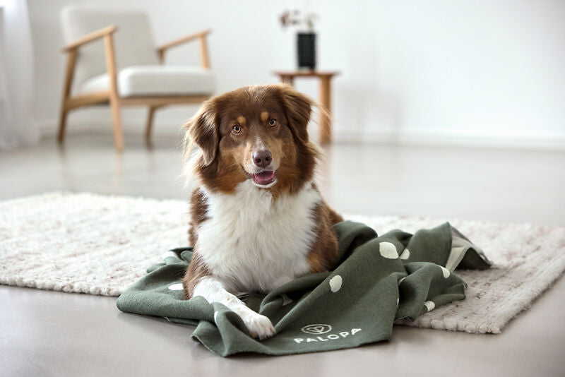 Palopa Hundedecke Ida L