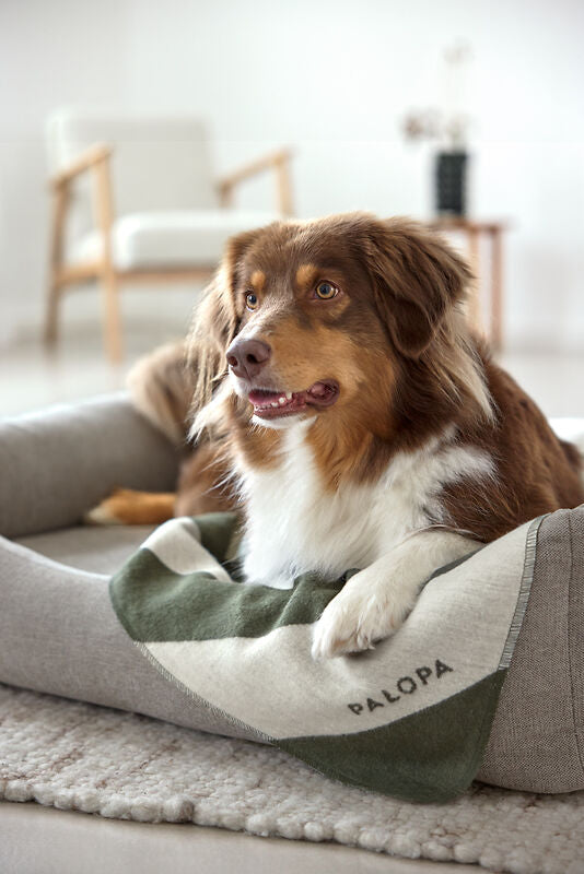 Palopa Hundedecke Ida M