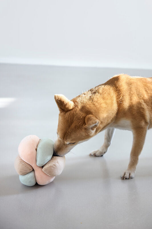 Palopa Dog Toy Brino