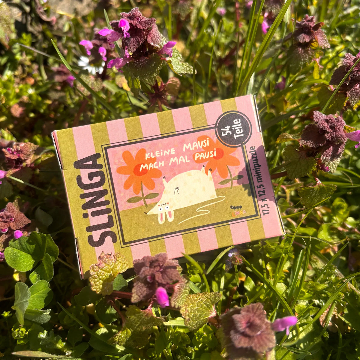 Slinga Mini Puzzle