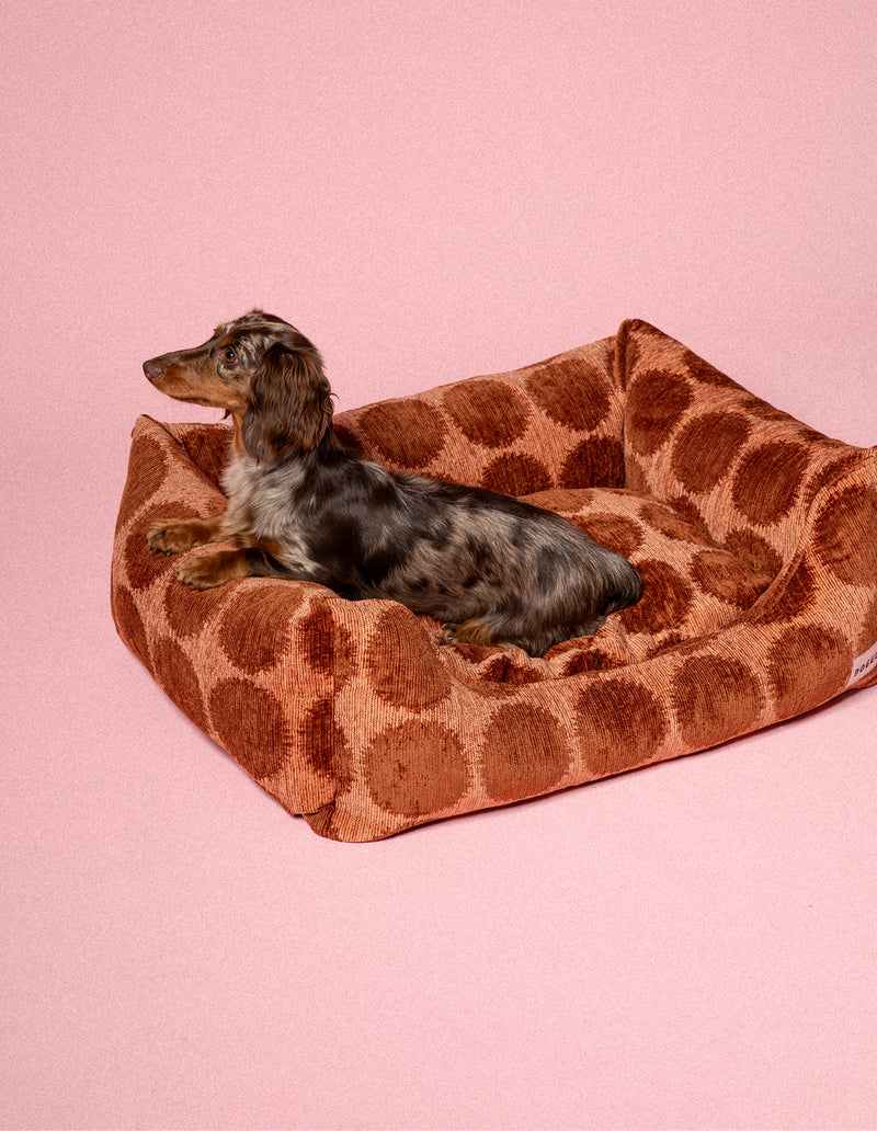 DOGGUO Dot Sofa