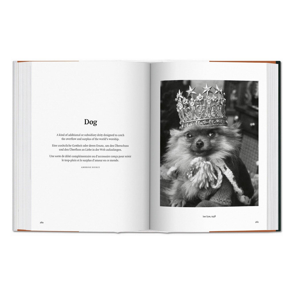 TASCHEN Der Hund in der Photographie 1839—heute (DE, EN, FR)