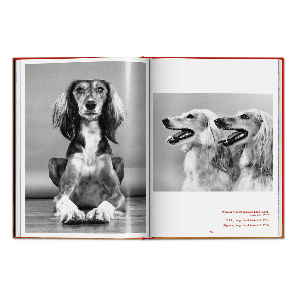 TASCHEN Walter Chandoha. Dogs. Photographs 1941–1991 (EN)