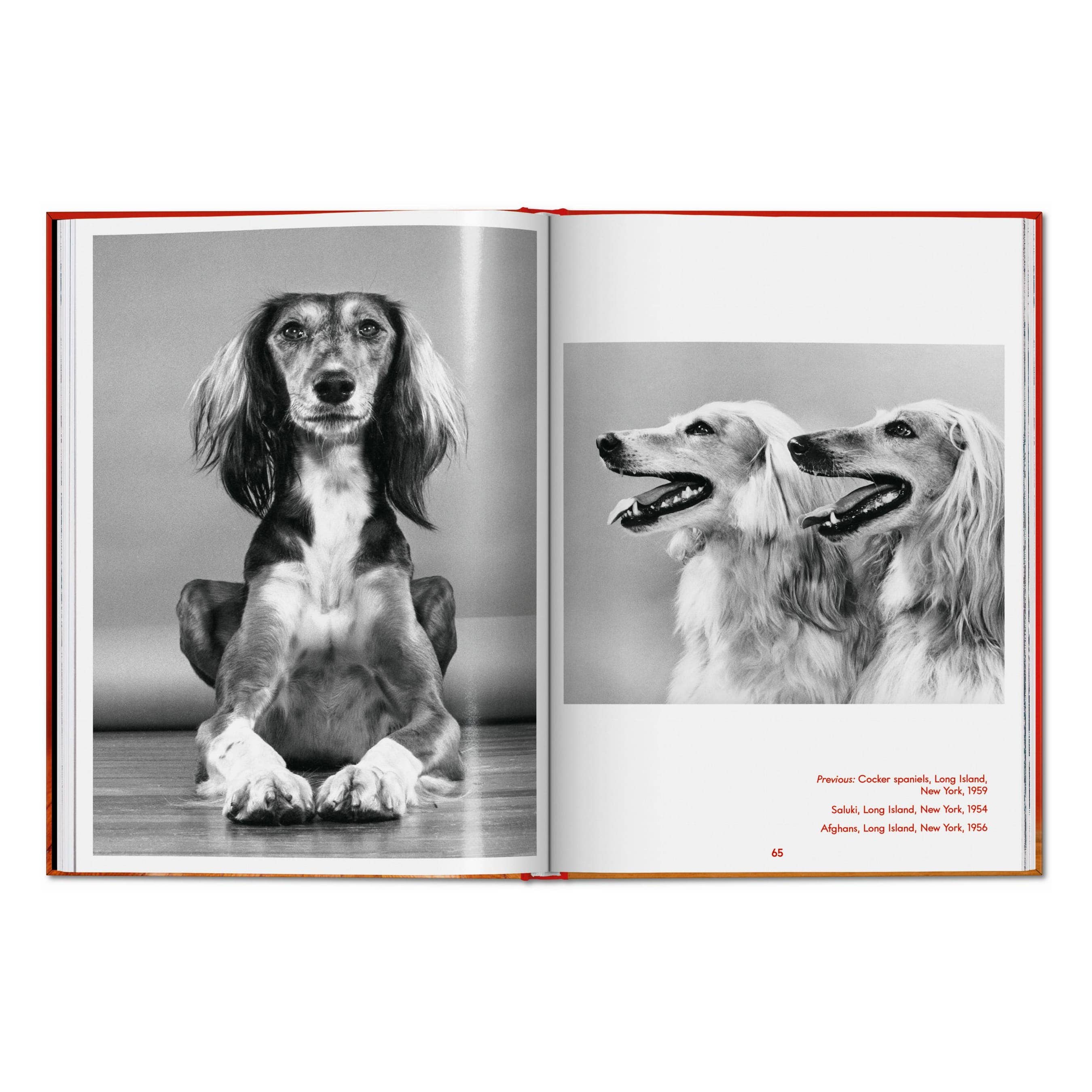 TASCHEN Walter Chandoha. Dogs. Photographs 1941–1991 (EN)