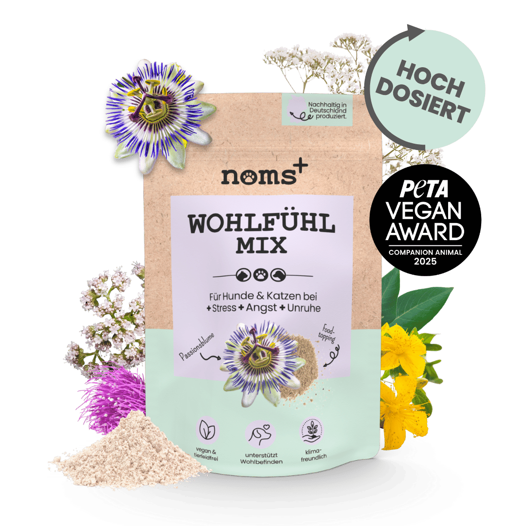 noms+ Comfort Mix to soothe