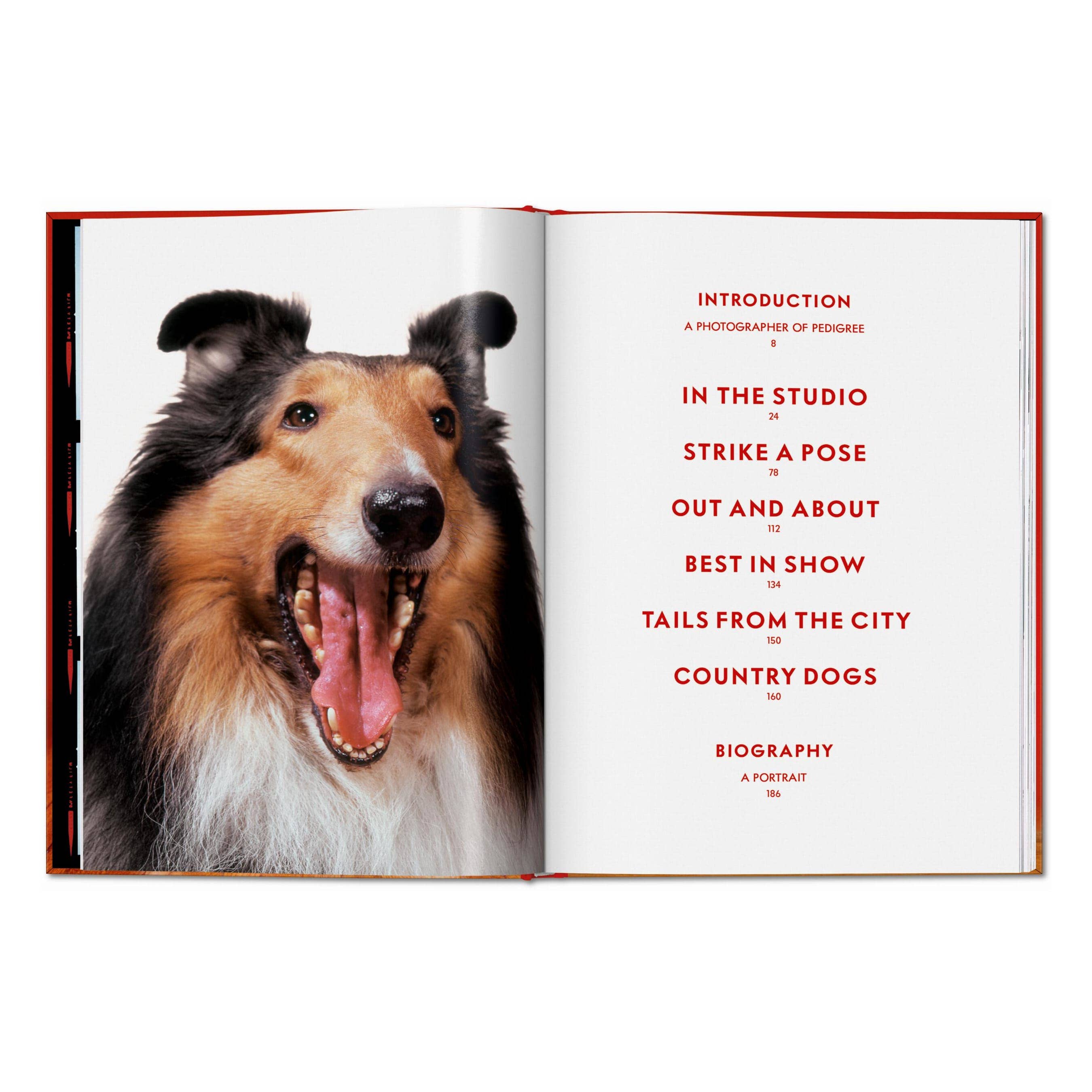 TASCHEN Walter Chandoha. Dogs. Photographs 1941–1991 (EN)