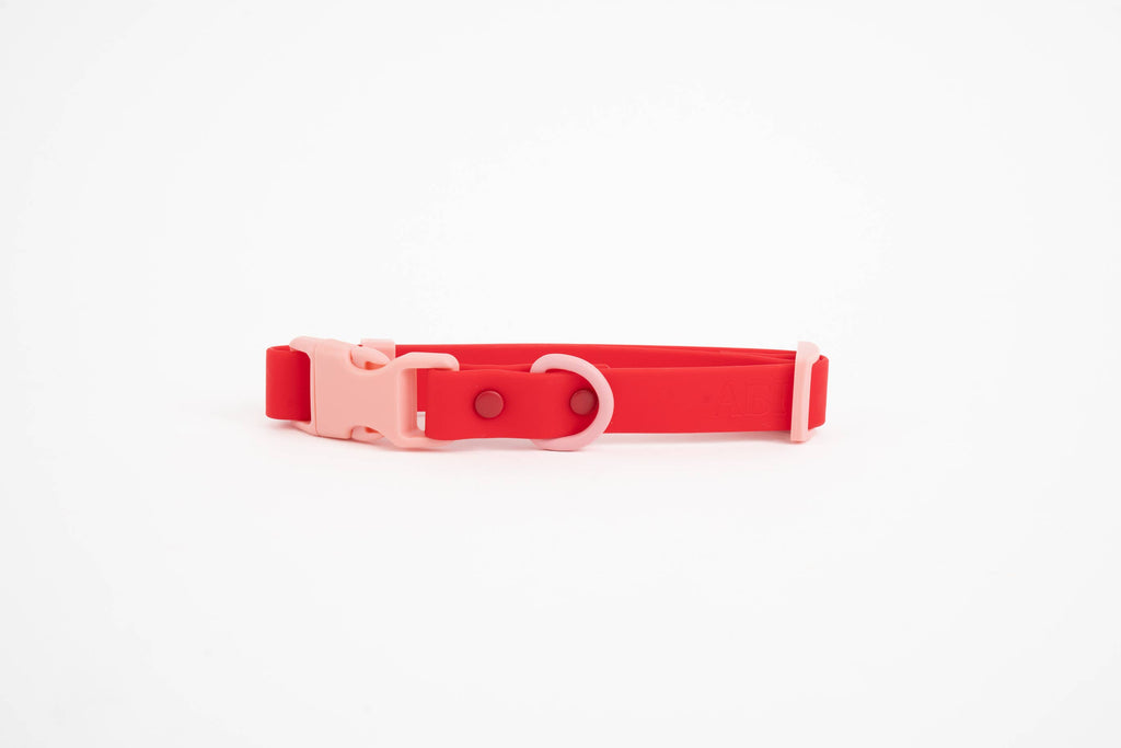 Approved by Fritz Hundehalsband