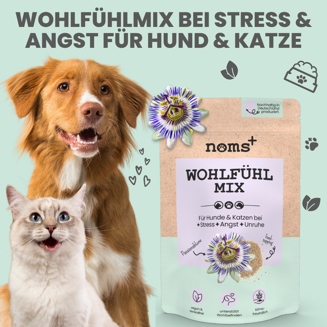 noms+ Comfort Mix to soothe