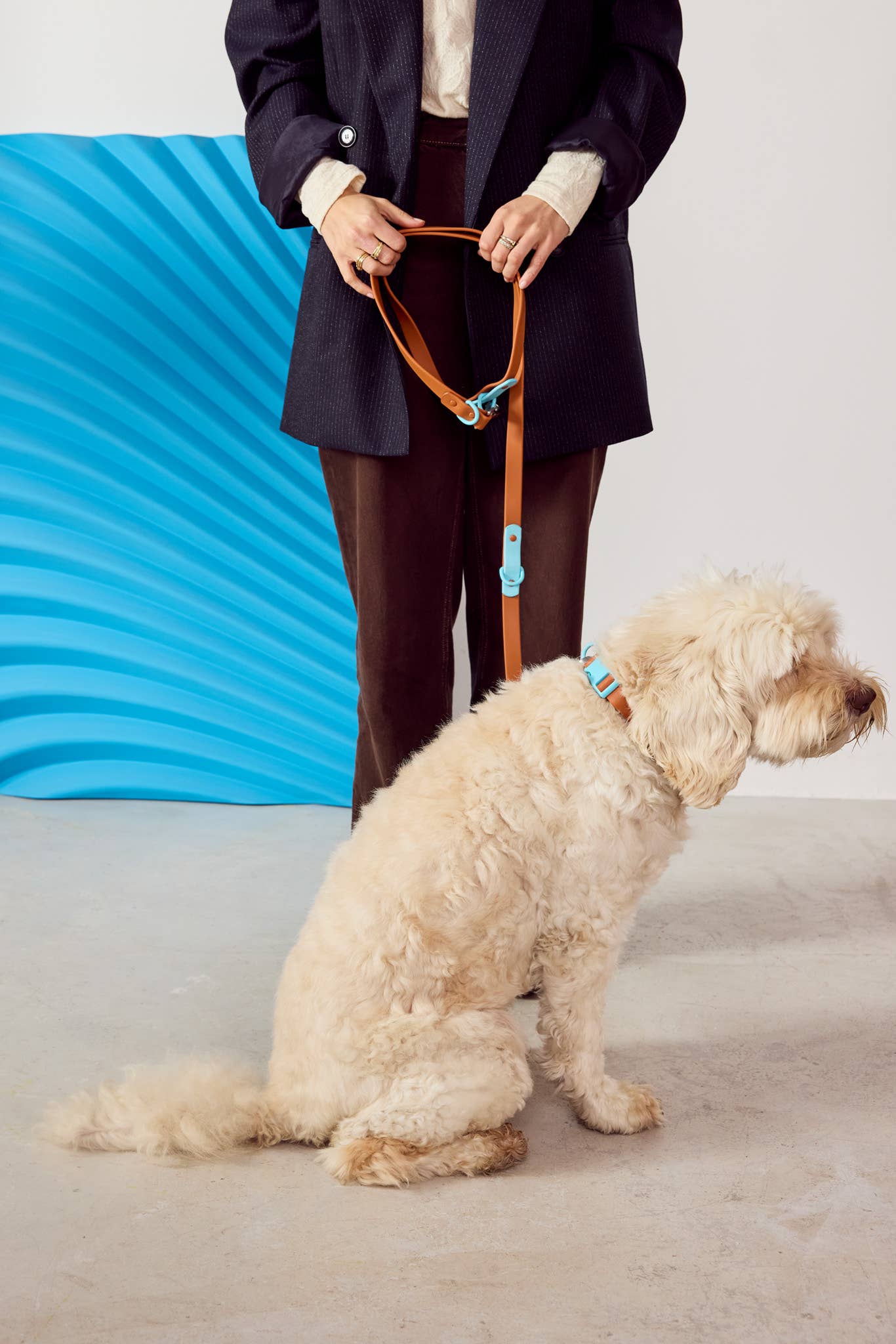 The Fritz Hundehalsband