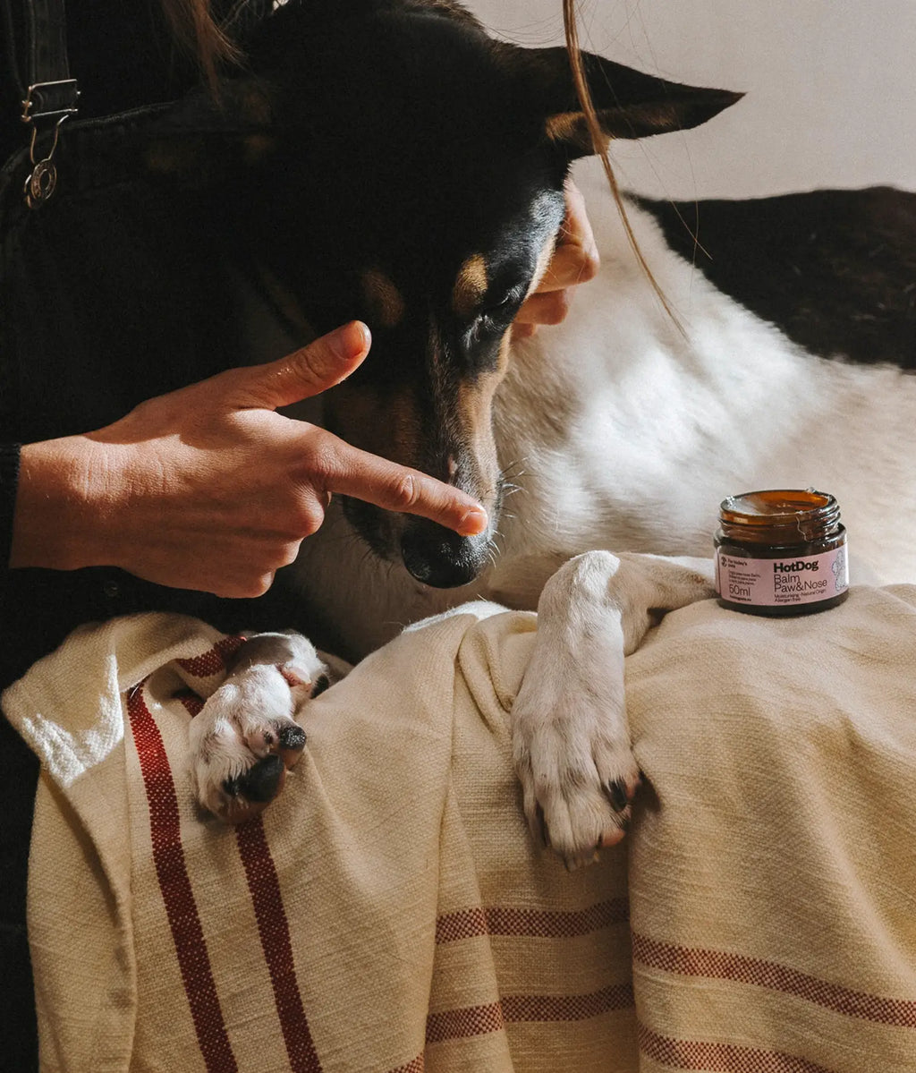HotDog Pets Balsamcreme