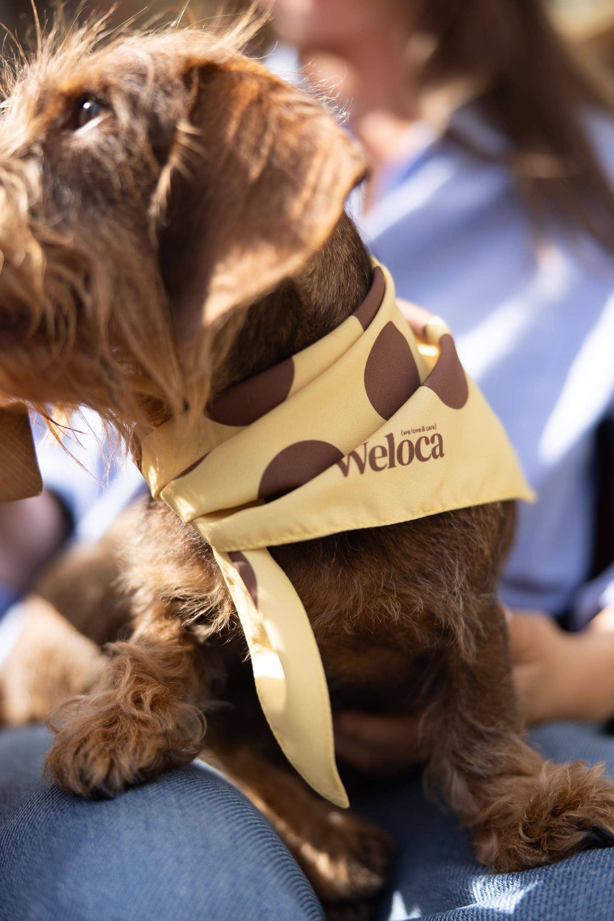 Bandana