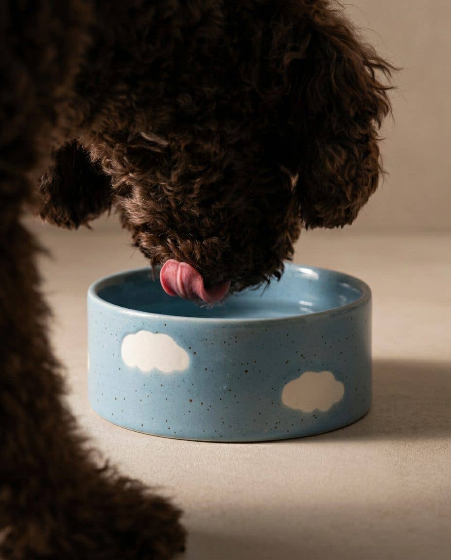 Egg Back Home Napf Cloud Blau (2er-Set)