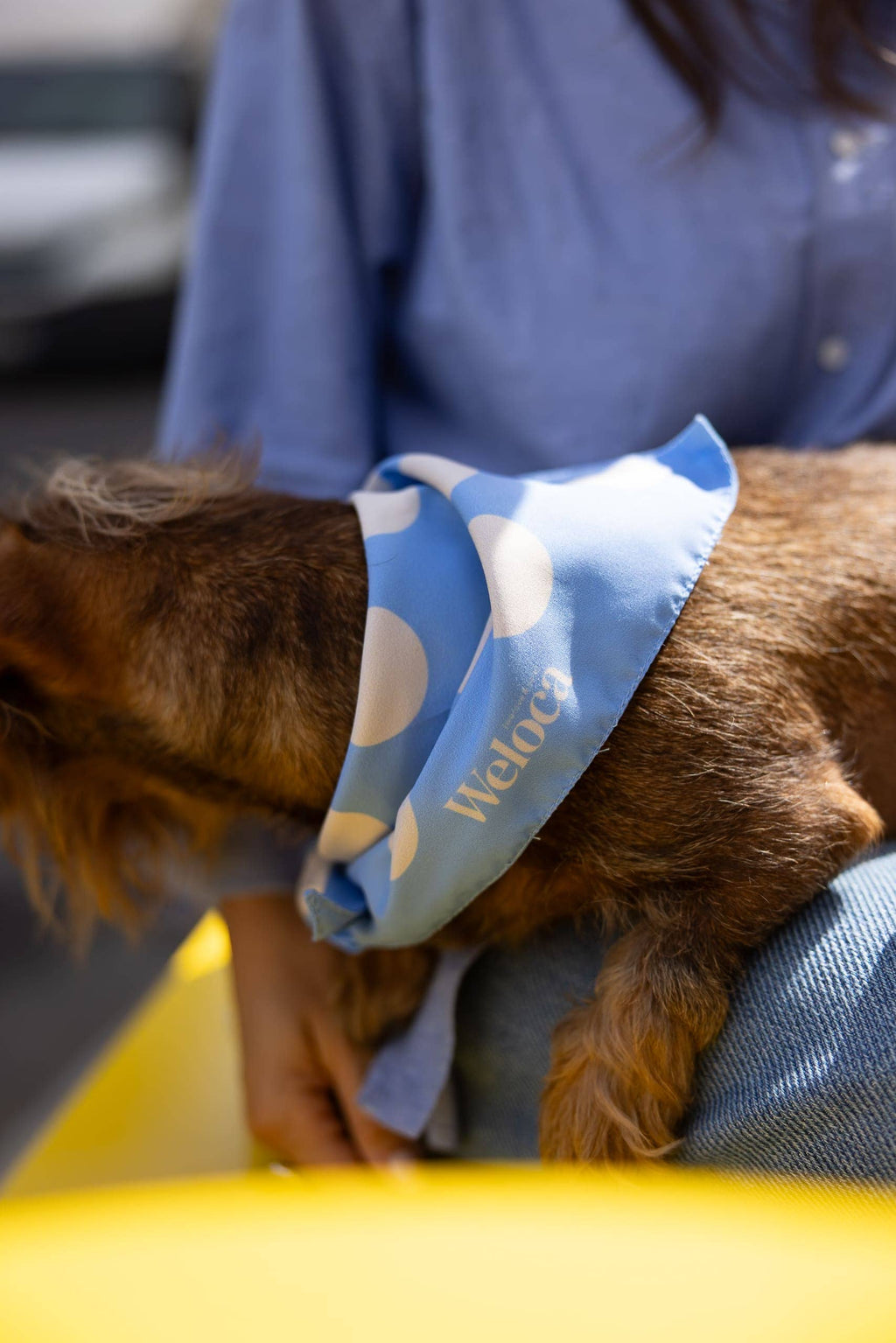 Bandana