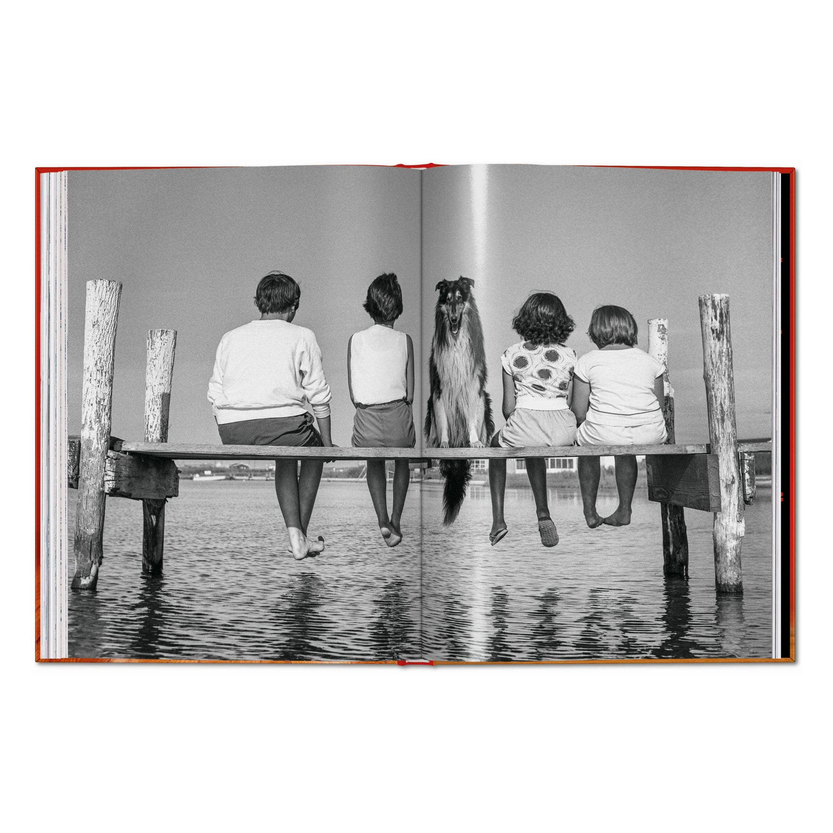 TASCHEN Walter Chandoha. Dogs. Photographs 1941–1991 (EN)