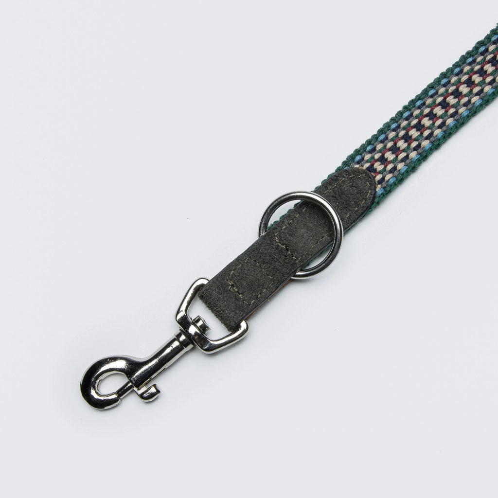 Cloud7 Dog Leash Prater