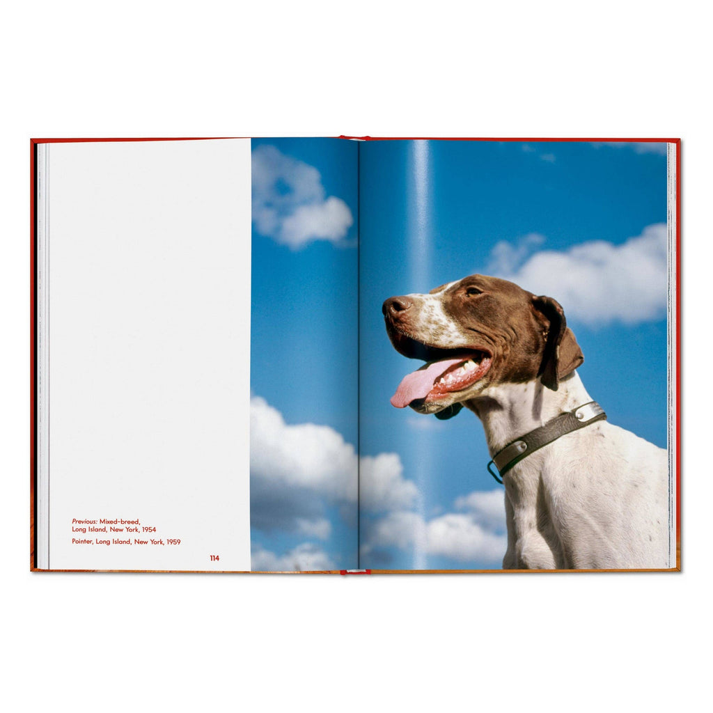 TASCHEN Walter Chandoha. Dogs. Photographs 1941–1991 (EN)