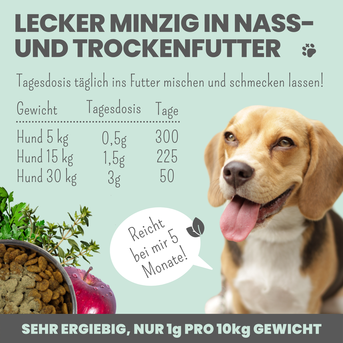 noms+ Dentalmix