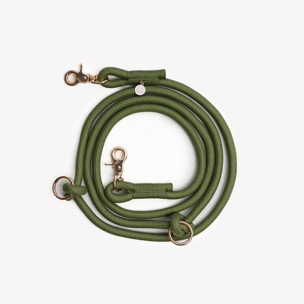 Furlou Braided Hands-Free Leash