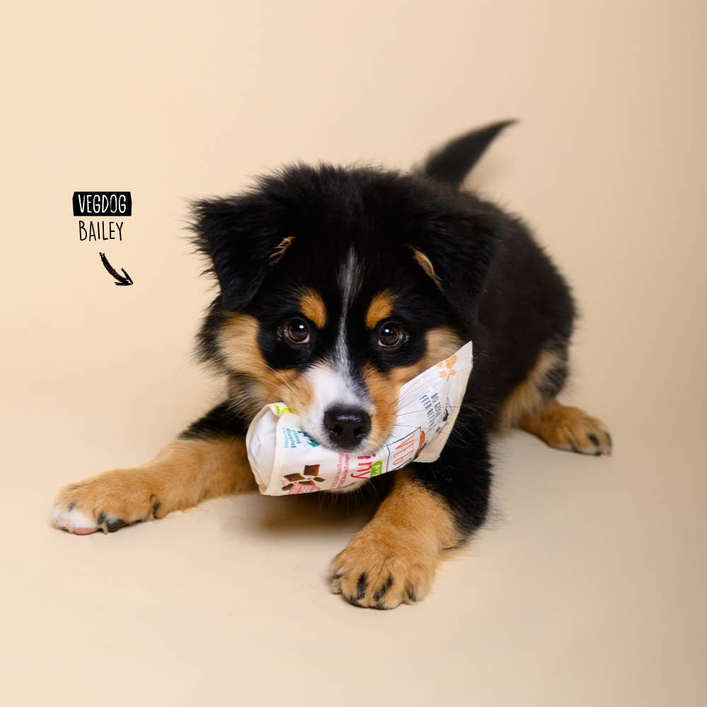 VEGDOG BRAINY BITES 80 g