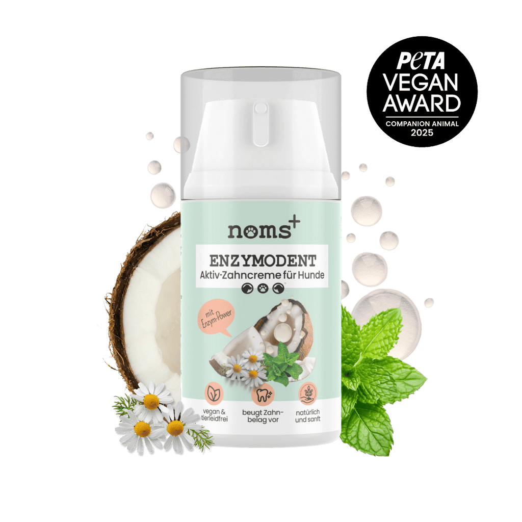 noms+ Enzymodent: Enzymatic Toothpaste