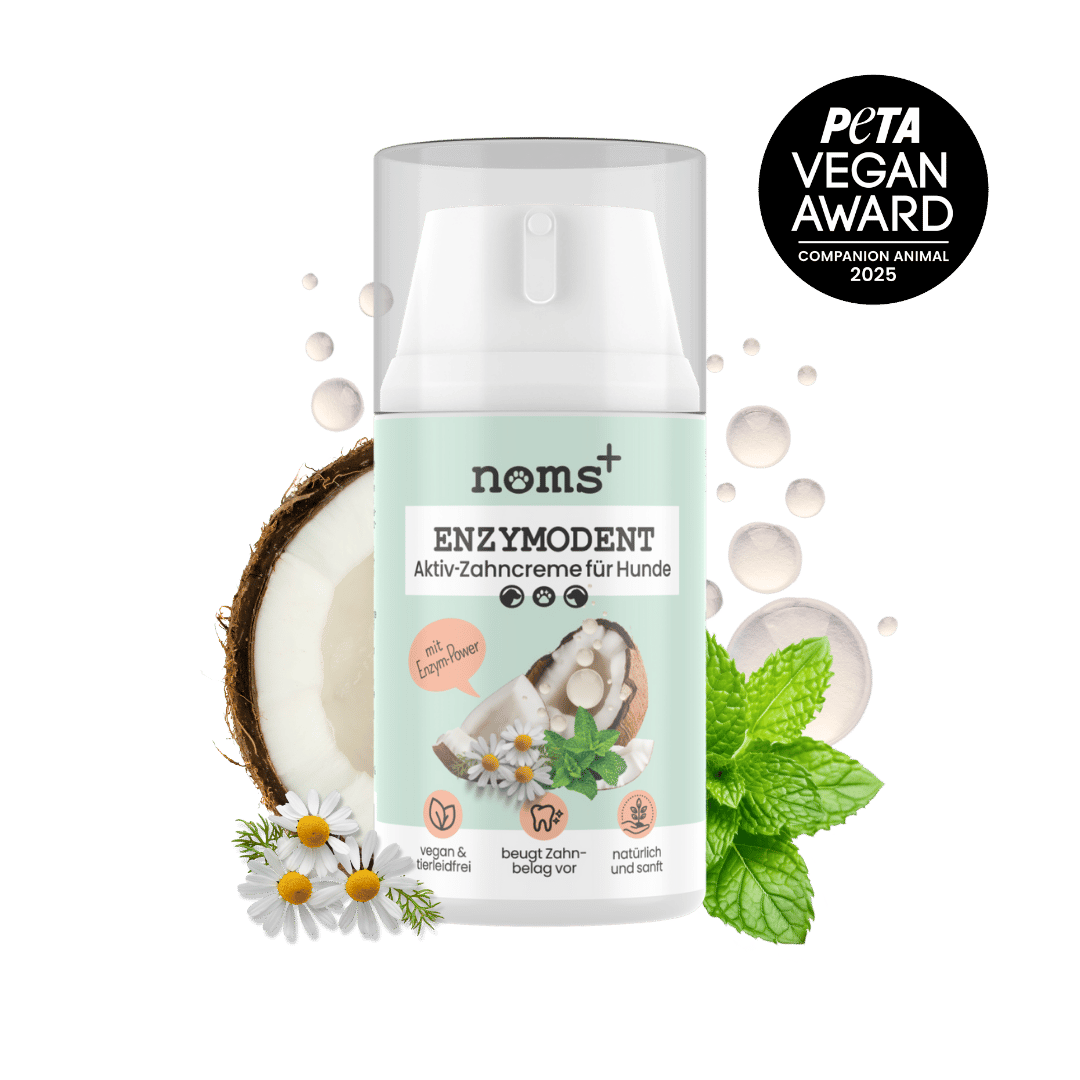 noms+ Enzymodent: Enzymatic Toothpaste