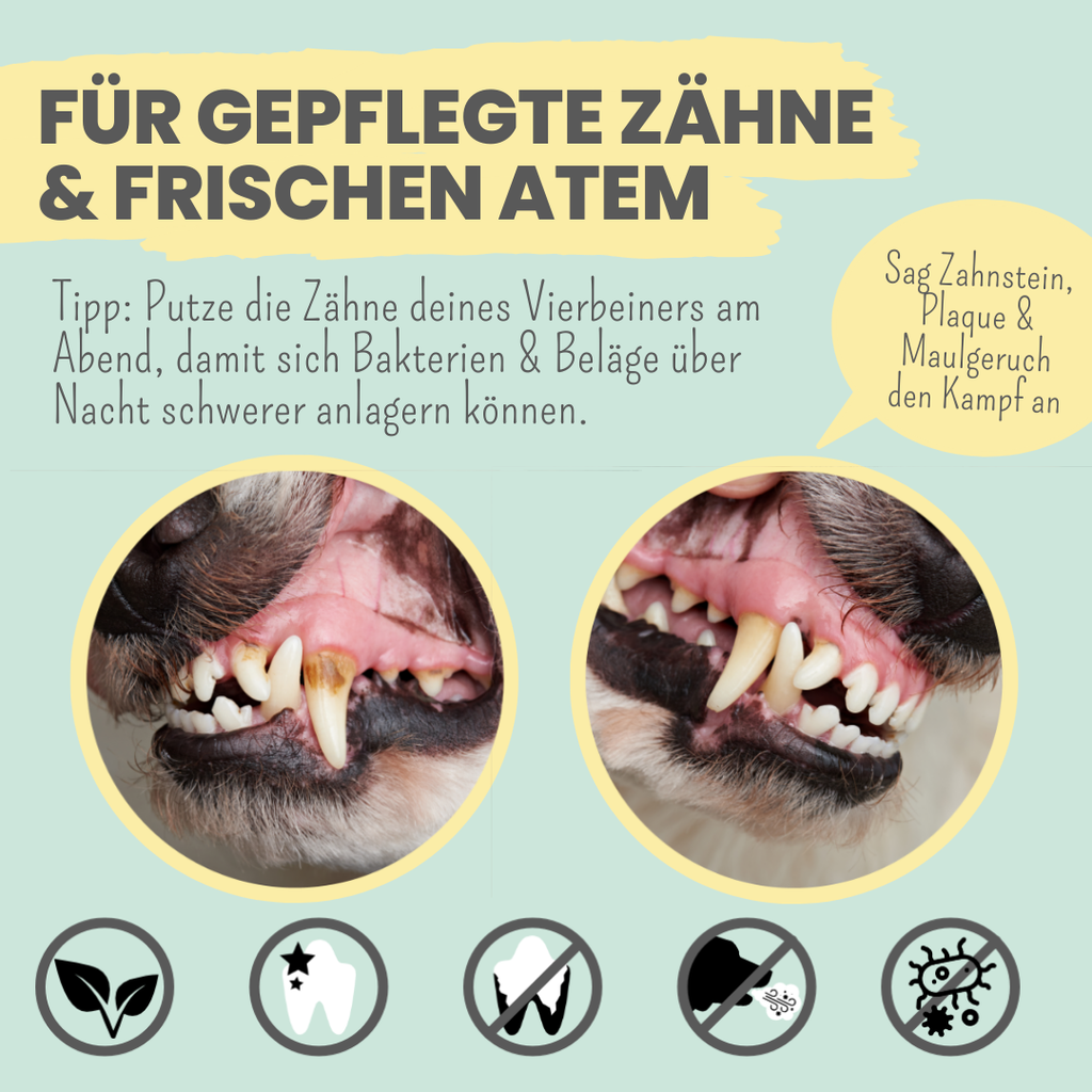 noms+ Enzymodent: Enzymatic Toothpaste