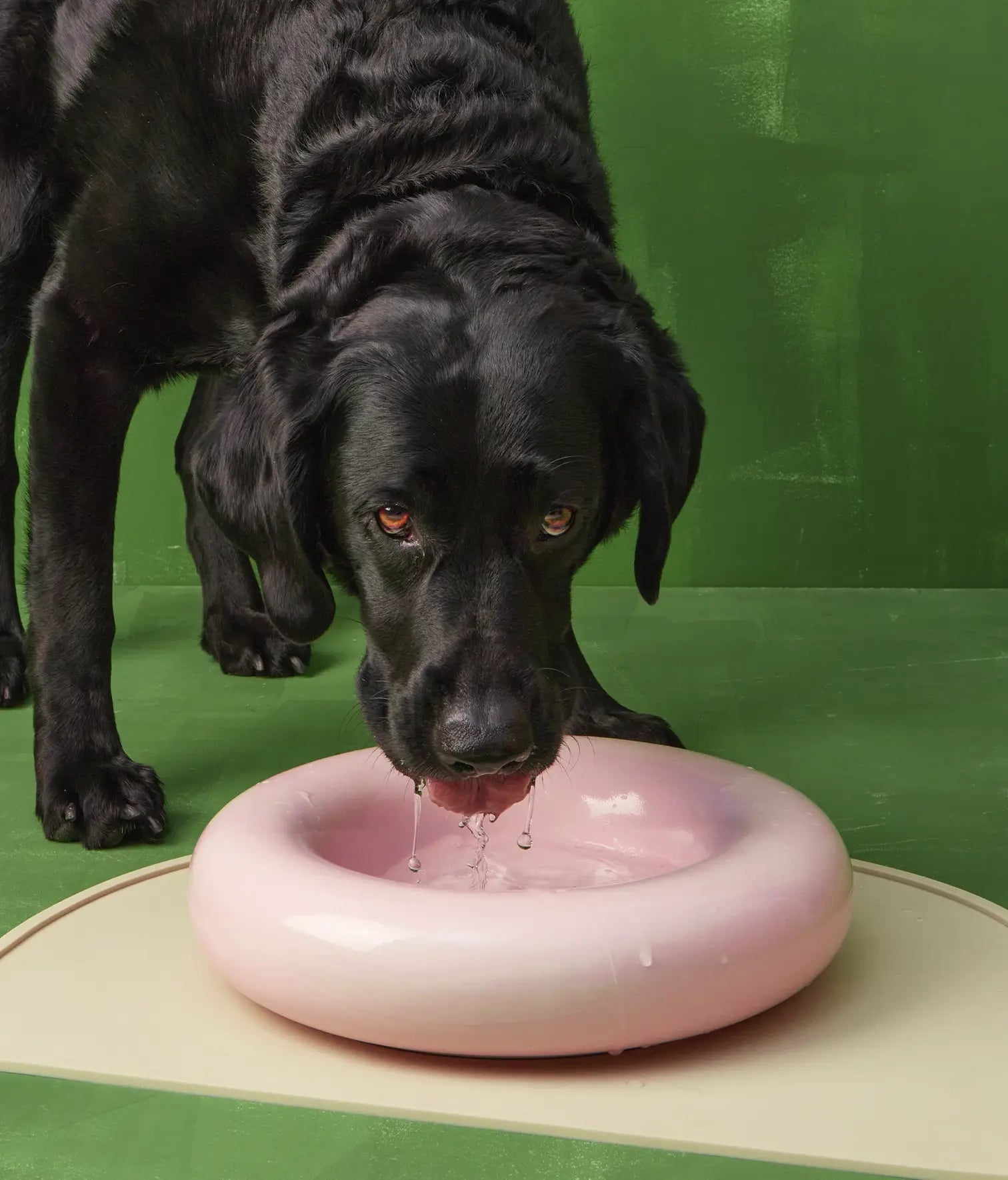 HotDog Pets Schutzmatte