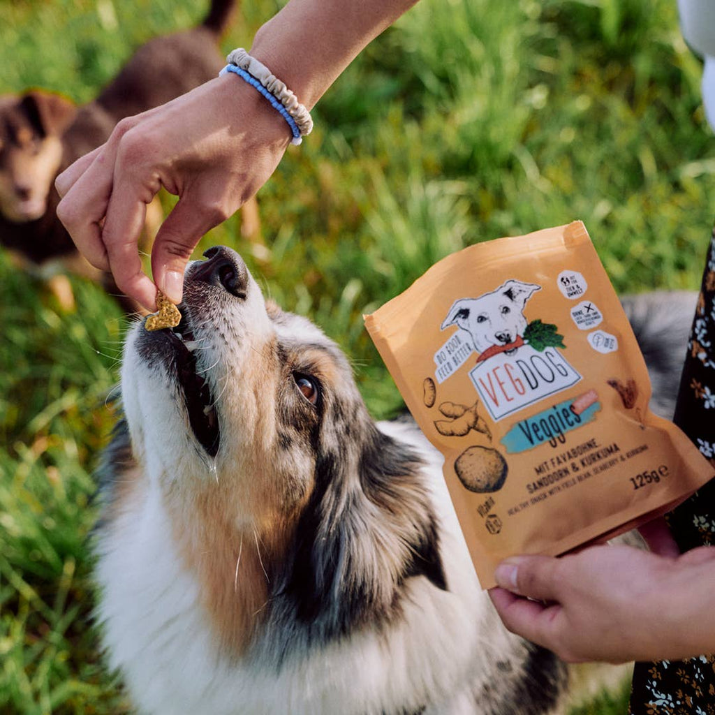 VEGDOG VEGGIES immune 125 g