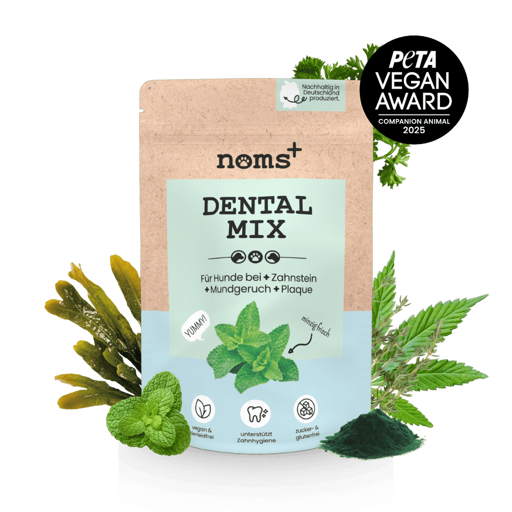 noms+ Dentalmix