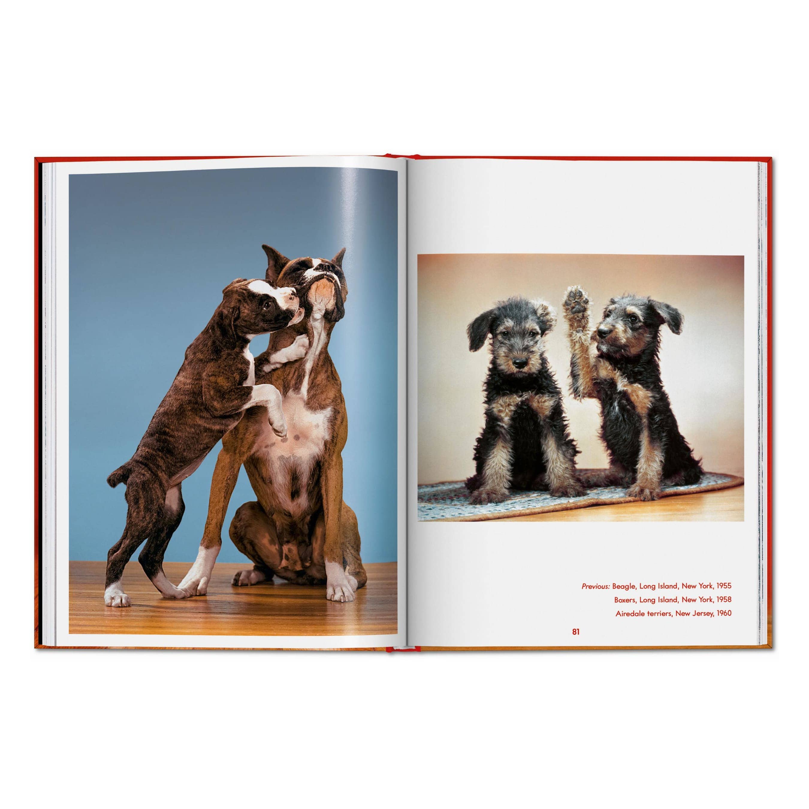 TASCHEN Walter Chandoha. Dogs. Photographs 1941–1991 (EN)